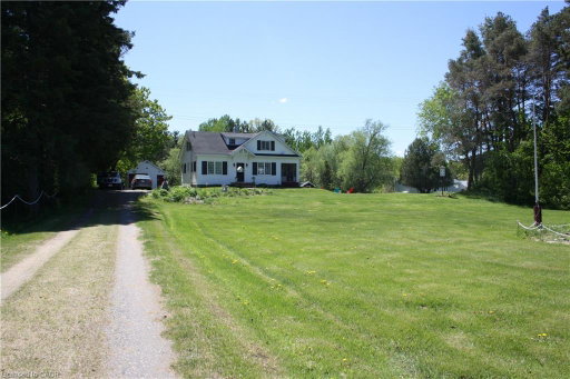 Media Image 3