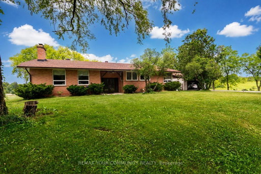 Media Image 2