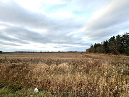 Media Image 3