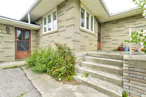 Media Image 3