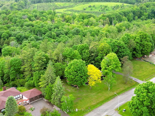 Media Image 2