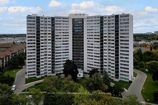 Media Image 2