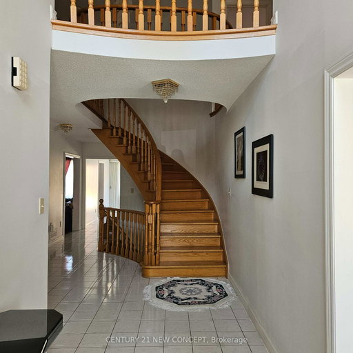 Media Image 3