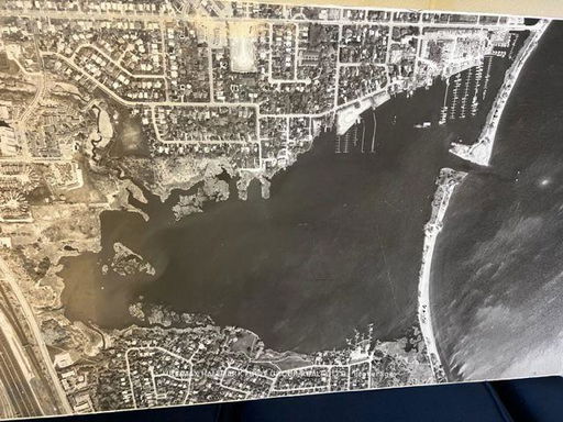 Media Image 3
