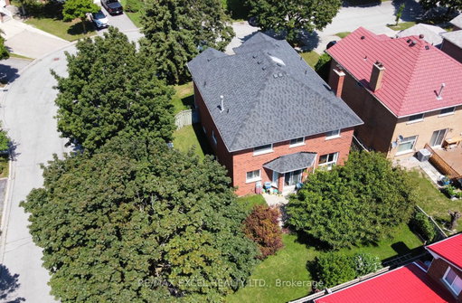 Media Image 2
