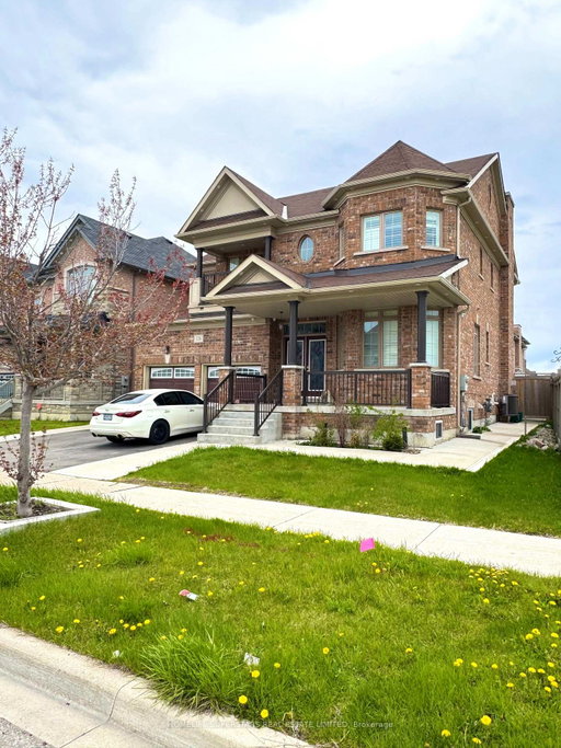 Media Image 2