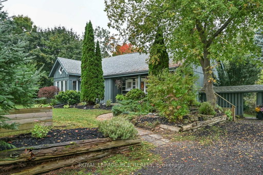Media Image 2