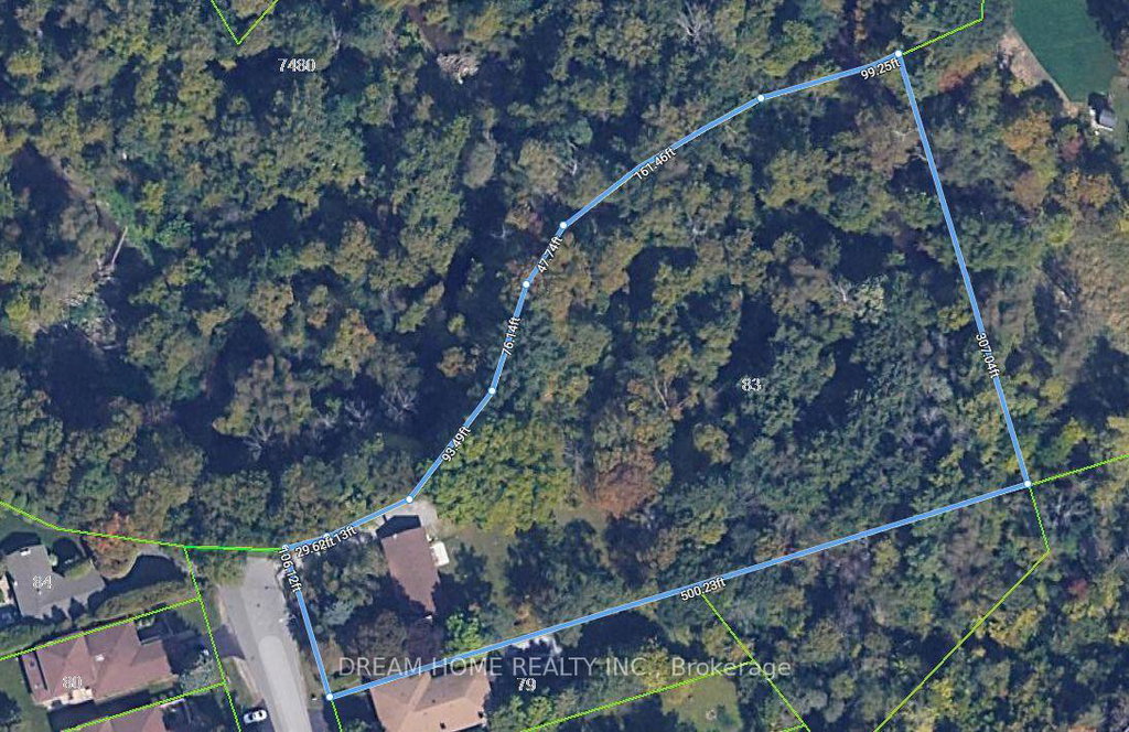 Media Image 1