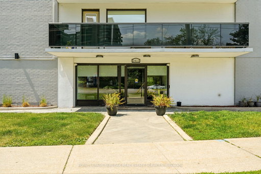 Media Image 2