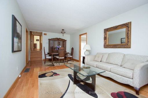 Media Image 3