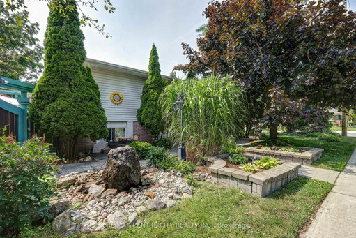 Media Image 3