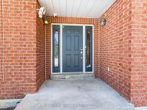 Media Image 2