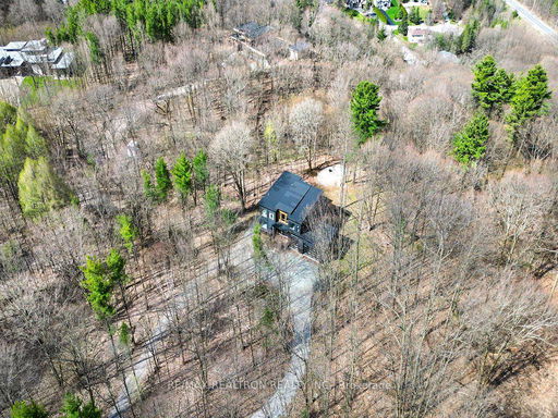 Media Image 3