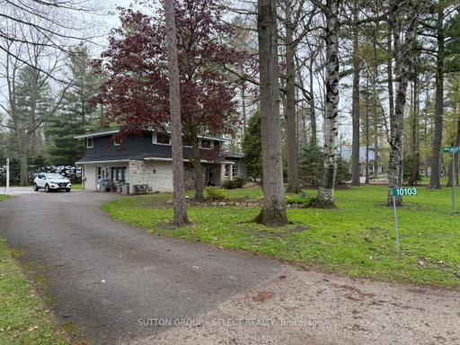Media Image 3