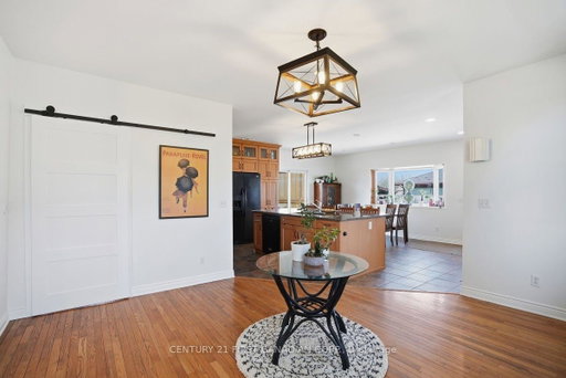 Media Image 3