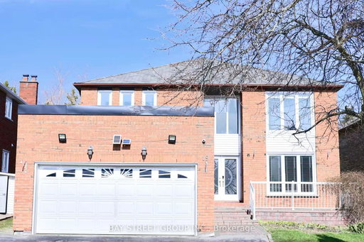 Media Image 2