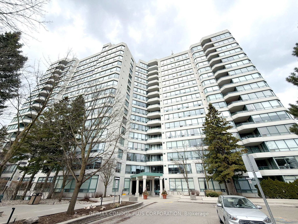 Media Image 1