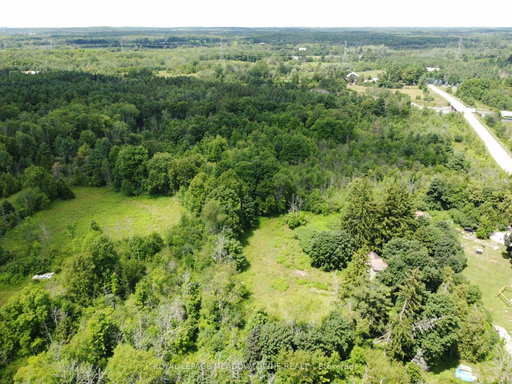 Media Image 2