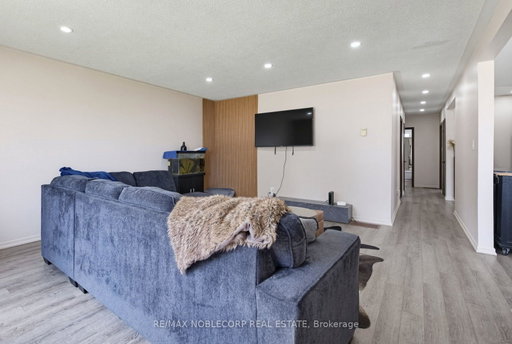 Media Image 3