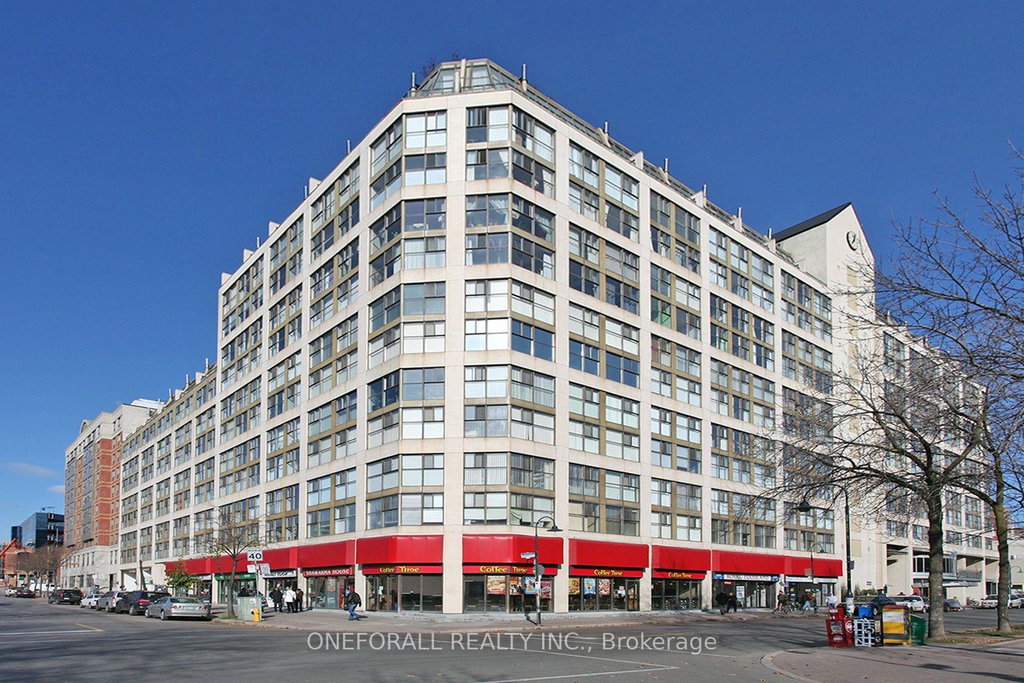 Media Image 1