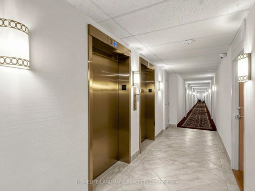 Media Image 2