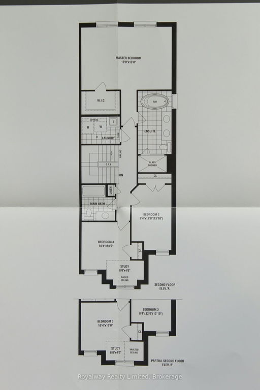 Media Image 3