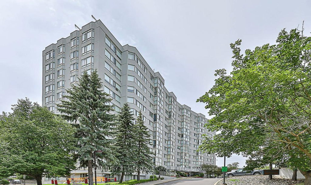Media Image 1