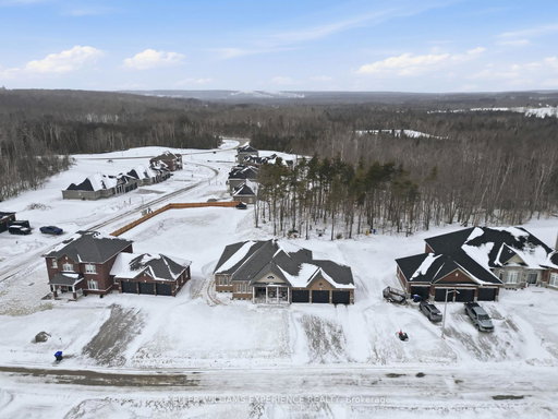 Media Image 2