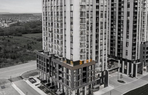 Media Image 3