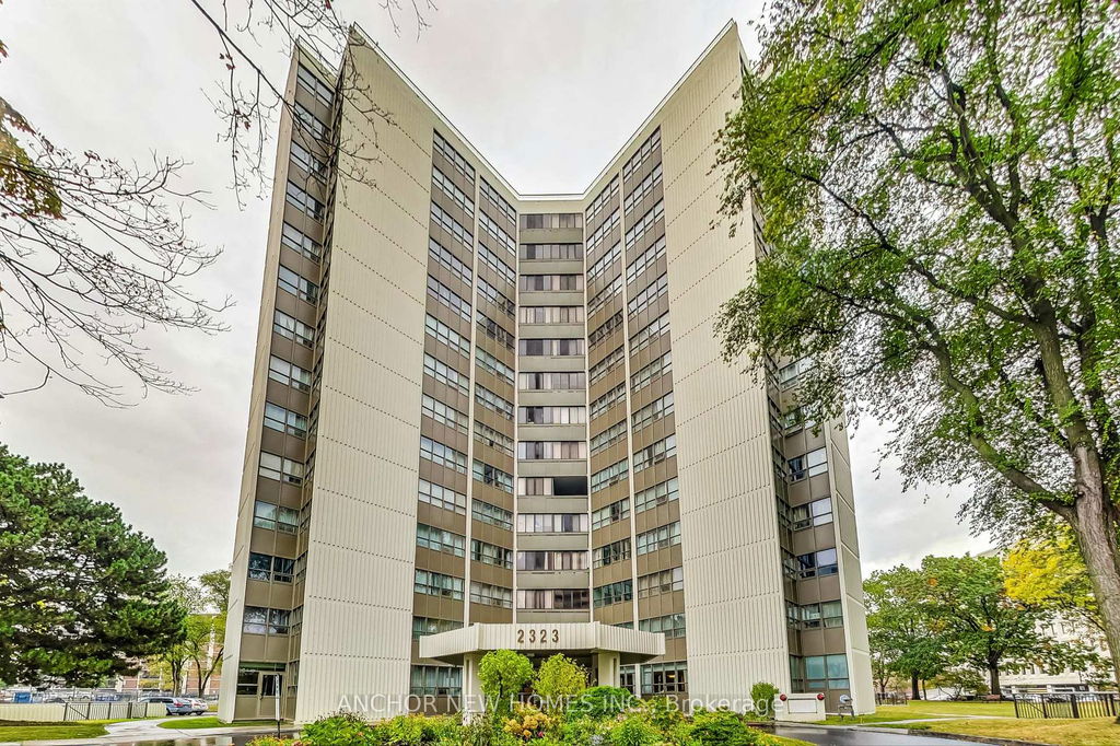 Media Image 1