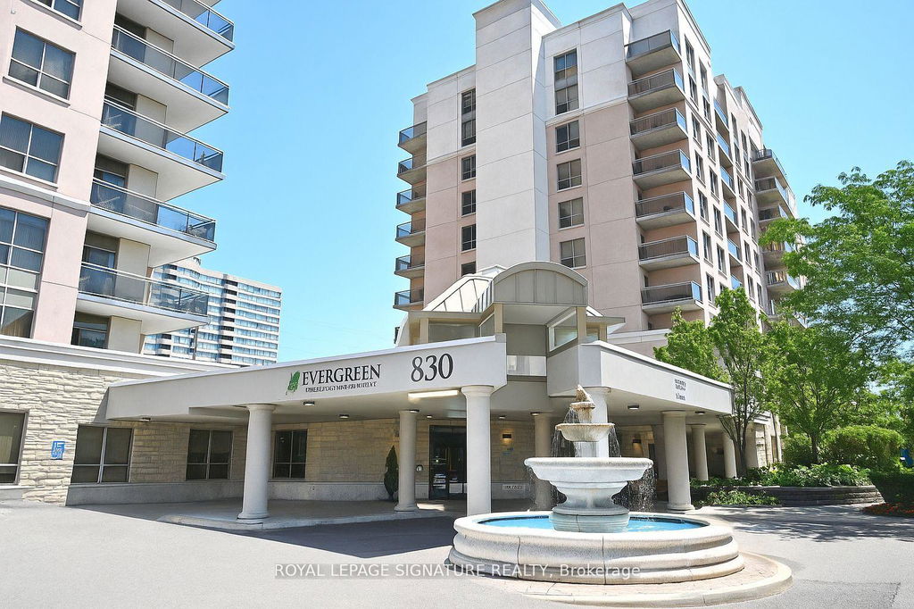 Media Image 1