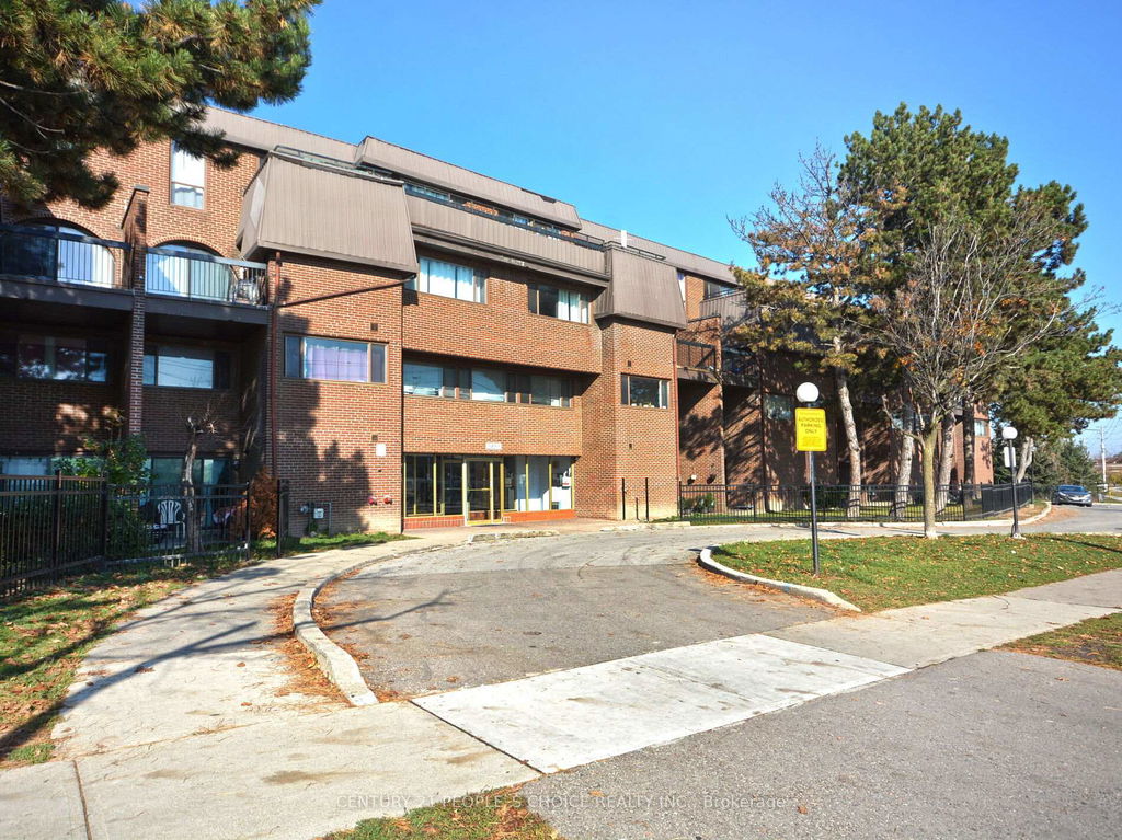 Media Image 1