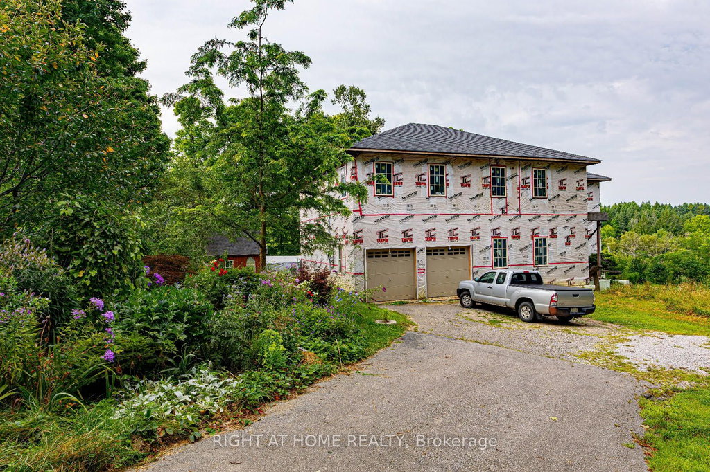 Media Image 1