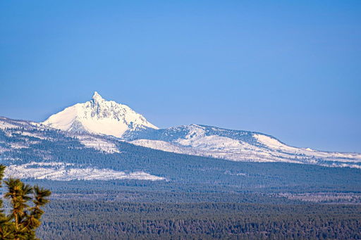 Media Image 2