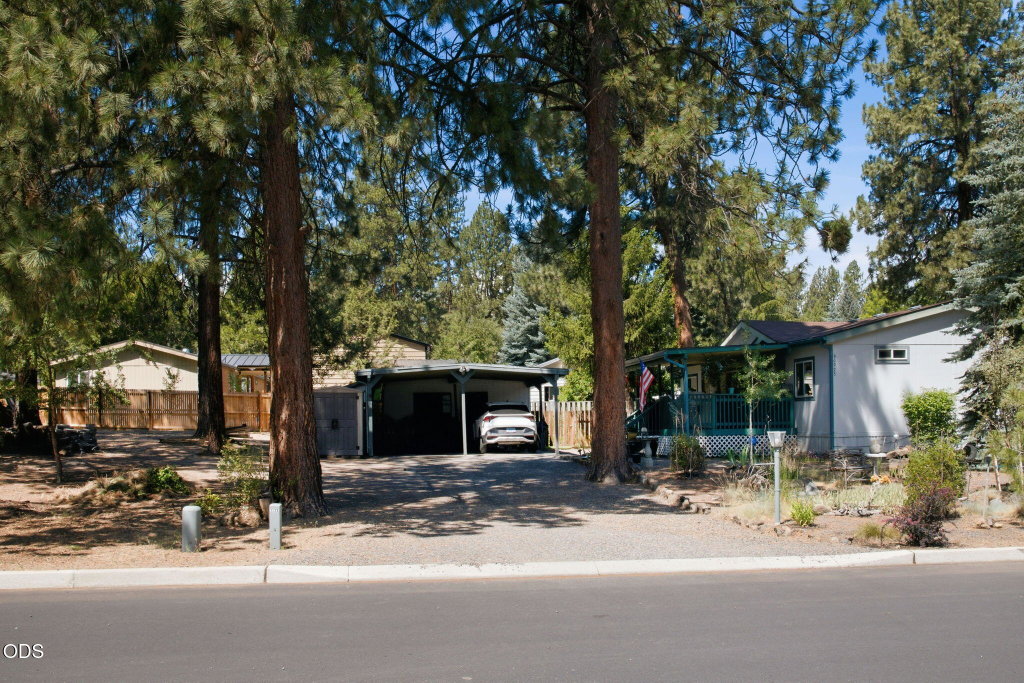 Media Image 1