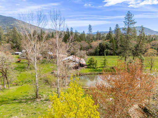 Media Image 3