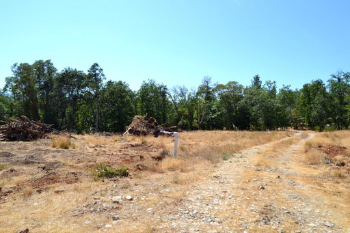 Media Image 2