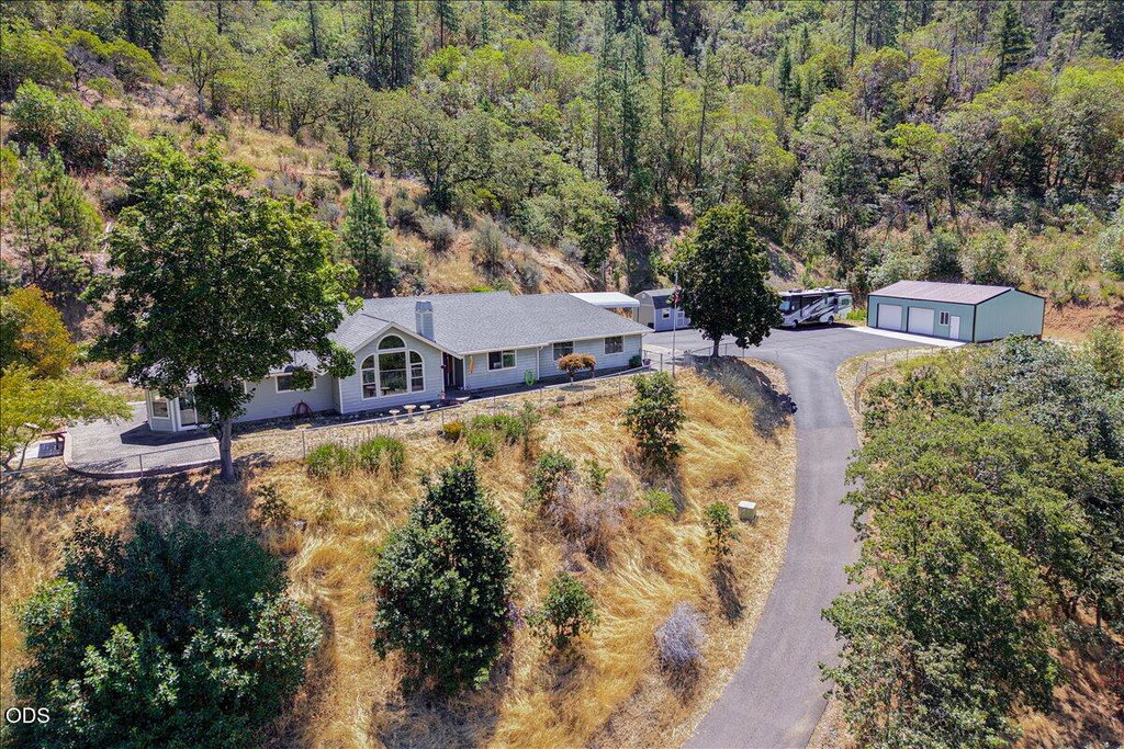 Media Image 1