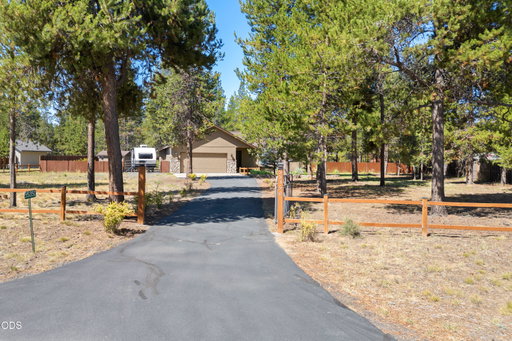 Media Image 3