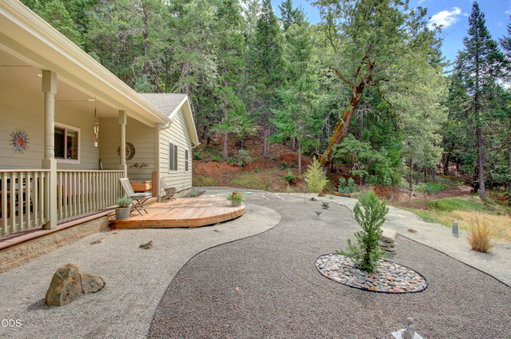 Media Image 3