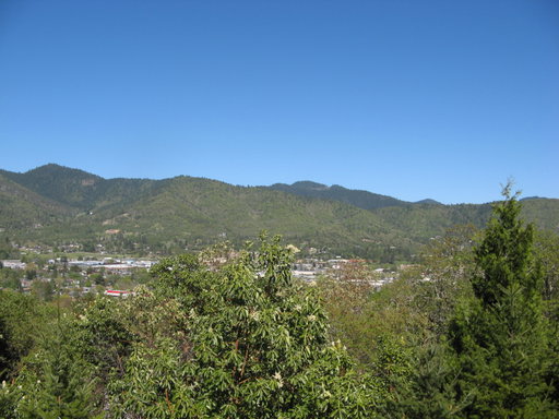 Media Image 3