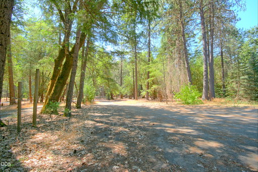 Media Image 3