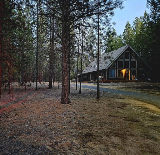 Media Image 3