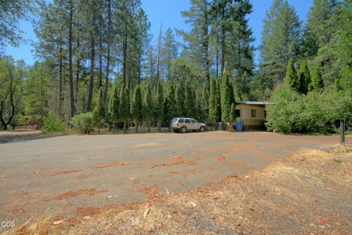 Media Image 2