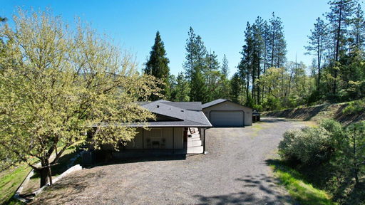 Media Image 3