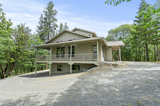 Media Image 3