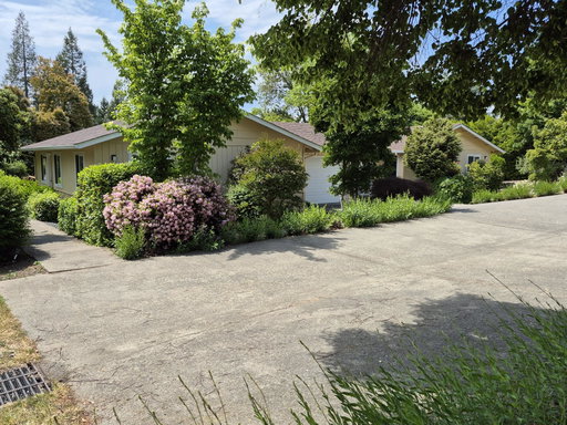 Media Image 2