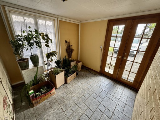 Media Image 3