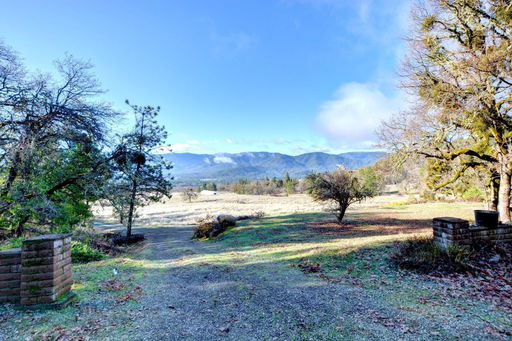 Media Image 3
