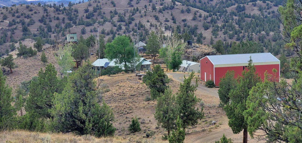 Media Image 1